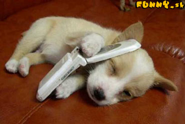 Nerušiť telefonujem!!!!.jpg