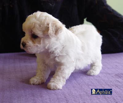 Laila-4-weeks-W3L.jpg