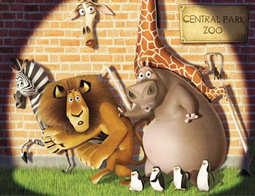madagaskar-847.jpg