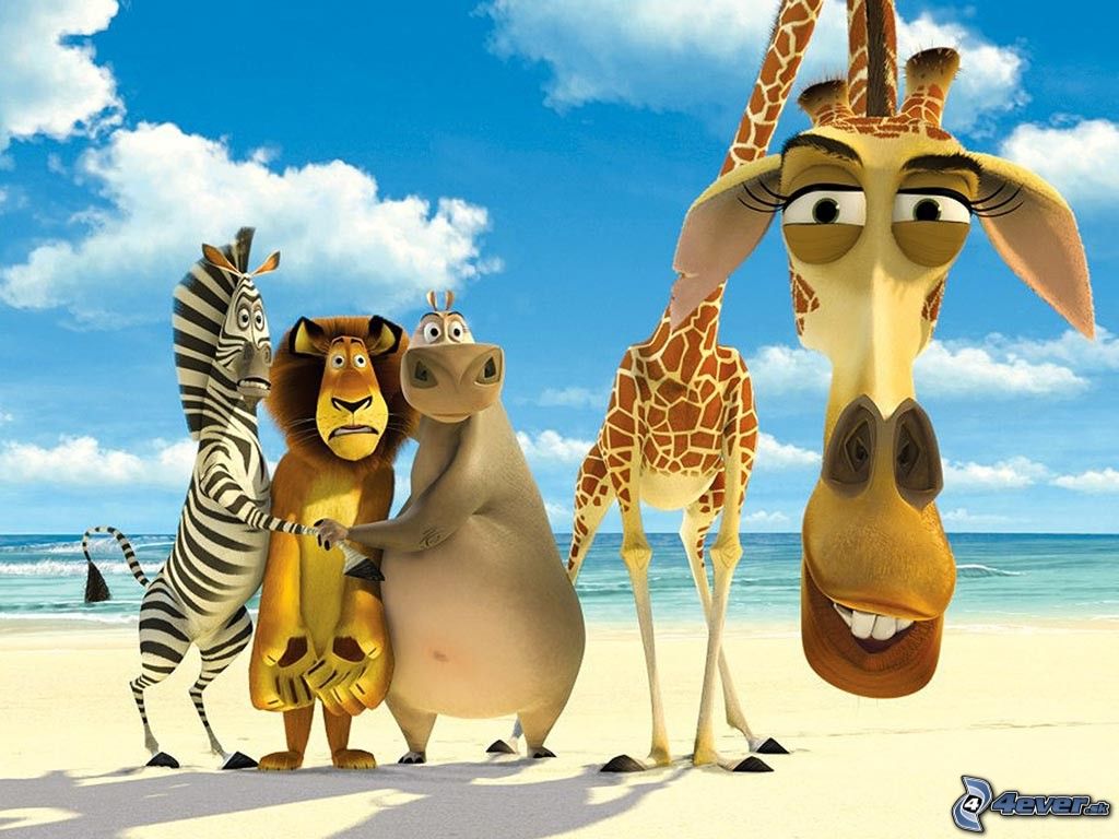 madagaskar2.jpg