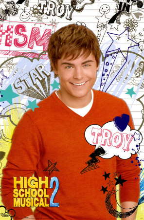 FP9132~High-School-Musical-2-Posters.jpg