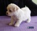Laila-4-weeks-W3L.jpg