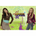 hannah-montana-wall-mural.png
